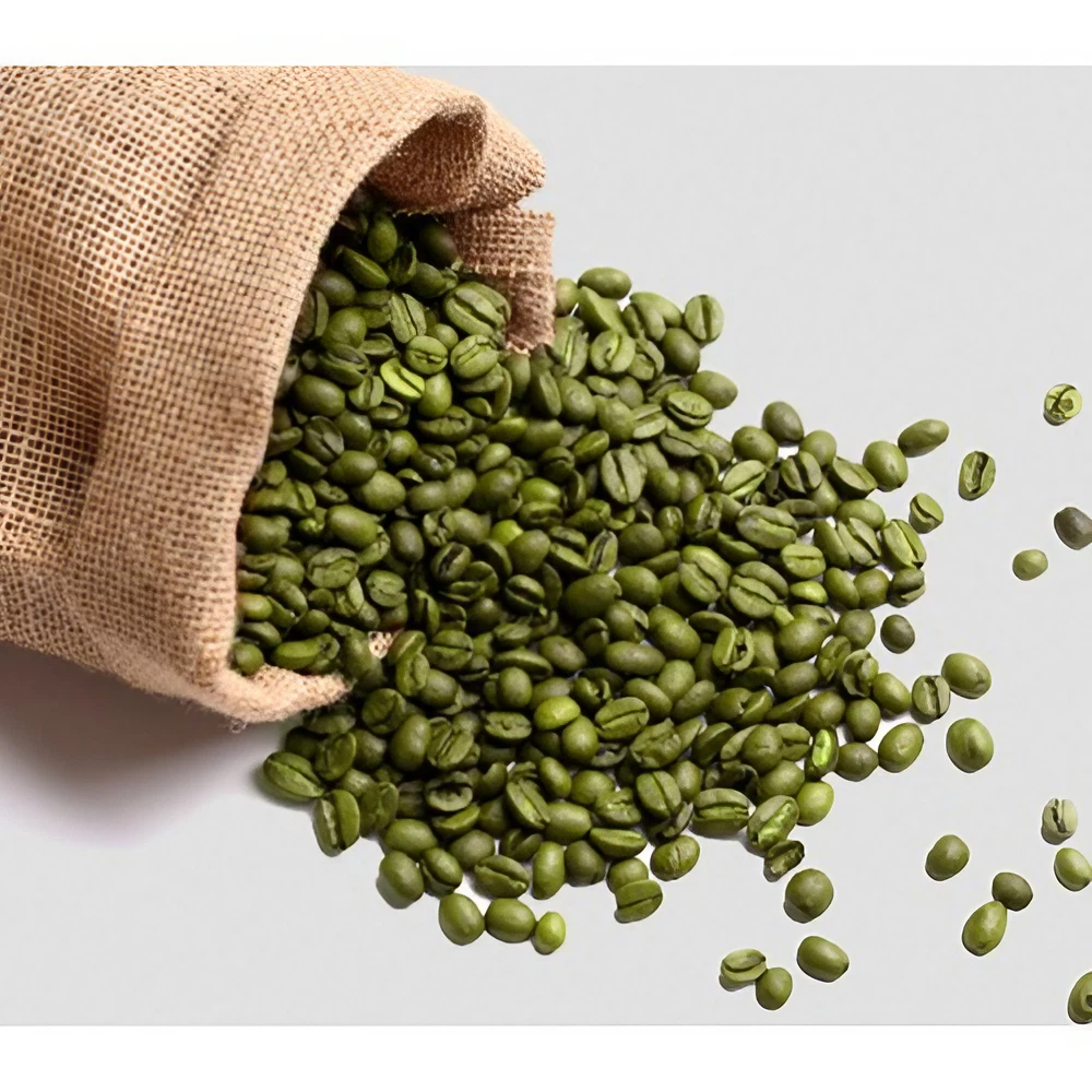 organic-green-coffee-beans