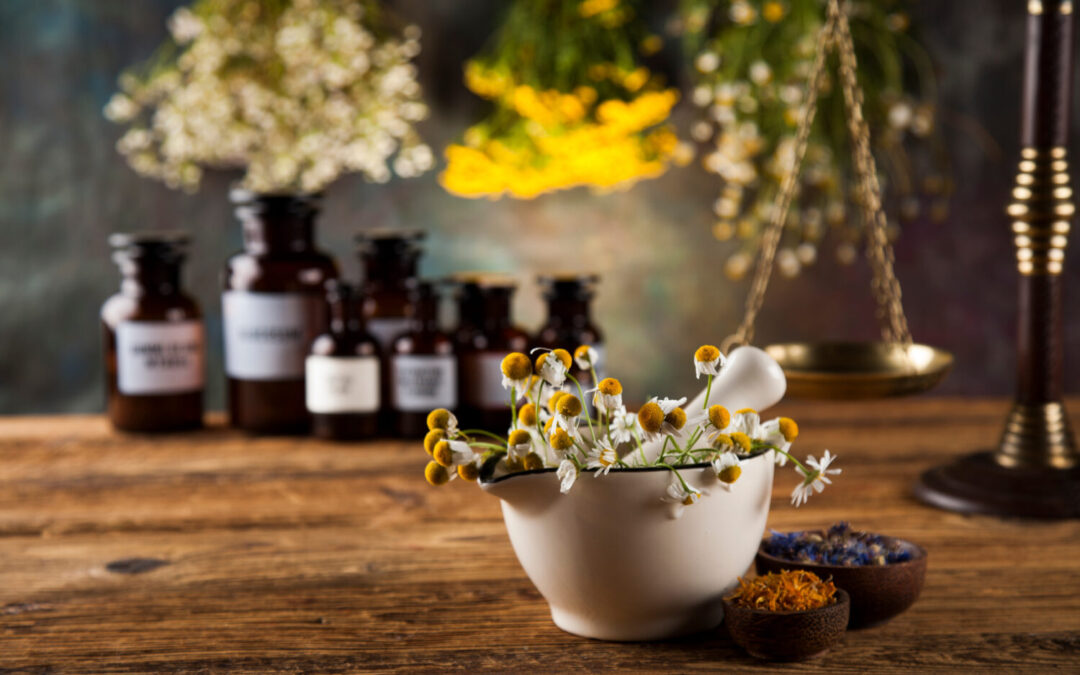 From Farm to Finished Ingredient: The Journey of a Botanical Extract